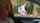 teen school girl brunette