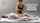 massage ginger masseuse