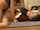 japanese cheating sleeping