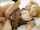 cosplay jav cowgirl