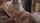 blonde cumshot on the floor