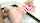 teen doggy blond