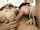 threesome rimming kissing