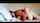 couple orgasm blowjob