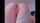 camgirl brunette ass