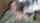 amatuer masturbation incest