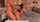 doggy creampie missionary