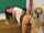 lesbian schoolgirls licking
