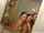 dsredorm teen small tits