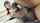 hot japanese jav