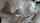 asian titjob titfuck