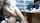 camgirl brunette office