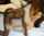 cuckold bbc ring
