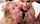 threesome phoenix marie blonde