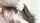 swallow deepthroat cummouth