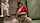 lesbian lezdom mistress