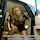 blonde car public