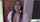 brazzers amateurs realitykigs