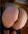 ass amateur sexy