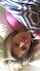 amateur sleep blond