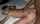 blonde interracial bbc