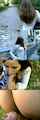 teen amateur public