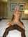 interracial bbc milf