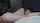 abal doggy hot