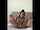 ebony massage amateur