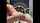 camgirl dildo flexible