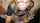 blowjob blond blonde