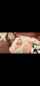 japanese japav uncensored