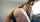 pawg big ass headphones