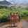 amateurs public nature