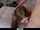 jessa rose milf mature