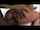 anal bbc black
