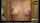 xvideos asian japanese