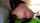 prolapse latina webcam