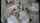hidden cam missionary kissing