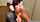 porn video brunette rough black