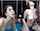 camgirl amateur couple
