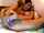 camgirl amateur dildo