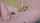 camgirl russian xhamster