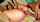 anal brunnette big dick
