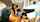lucky boy shy boy latina