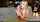 camgirl blonde blowjob