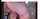 teen cam camgirl