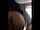 brunette teen couple