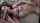 blowjob beauty sucking