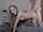 blonde russian teen